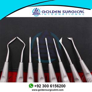 Juego de 8 Piezas de Elevadores Dentales de Acero Inoxidable, Elevador de Raíz Curvo, Destornillador Quirúrgico para Odontología, Juego de 8 Piezas de Acero Inoxidable - Product Image 5