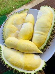 Fabricante vietnamita: Durian y verduras congeladas de calidad - Product Image 2