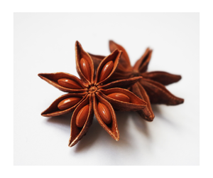 Anís estrellado al por mayor, anís estrellado rojo seco, semillas tamizadas de anís y anís estrellado de rama seca - Product Image 5