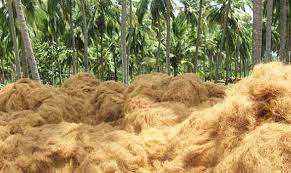 Todas las ventas están bien, Iber Viet Am In ululk. - Product Image 4