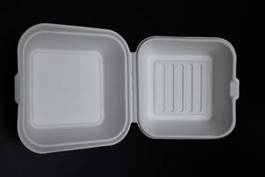 Fiambrera de concha biodegradable, reciclable, reutilizable, 10x6, bagazo de caña de azúcar, compostable desechable con tapa - Product Image 2