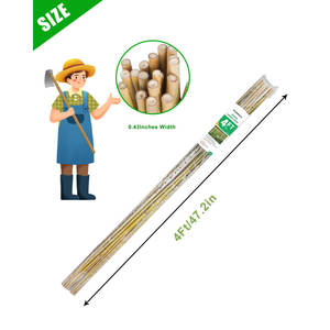 Ensemble de 25 piquets de plantes de bambou naturel pour tomates, fleurs, plantes grimpantes pour jardins d'enfants - Product Image 2