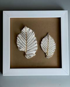 กล่องภาพเงาสีเงินติดผนังกรอบสี่เหลี่ยม3D กล่องพฤกษศาสตร์ตกแต่งกรอบภาพธรรมชาติสมัยใหม่เป็นแรงบันดาลใจให้กับห้องนั่งเล่นงานศิลปะ - Product Image 1