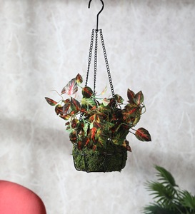 Panier de fleurs suspendu en métal vert de luxe pour décor de fenêtre extérieure Pot de jardin pour plantes fleurs fabriqué en Inde en gros - Product Image 2