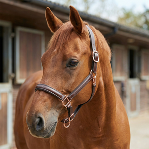 Harnais de selle anglais en cuir marron foncé de qualité supérieure avec surmêchoir rembourré à surpiqûres décoratives et ferrures couleur or rose – Élégant - Product Image 2