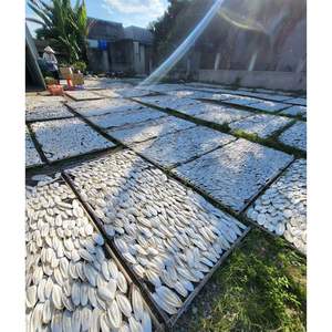 Good Price Durable <b>Interactive</b> Pet Chew <b>Toy</b> Cuttlefish Bone High Quality Natural Teeth Cleaning Wholesale VietChoice Vietnam - Product Image 5