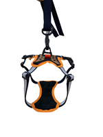 Ensemble harnais et laisse pour chien mignon Accessoires pour animaux de compagnie en maille de style mode du fournisseur vietnamien avec motif personnalisé