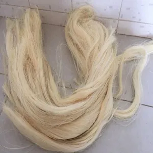 Fibra de sisal de alta calidad a la venta - Product Image 5