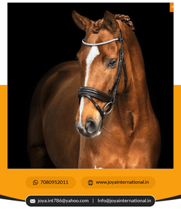 2022 bride de dressage en cuir tendance chaude personnalisée en gros brides en cuir occidental pour cheval intelligent - Product Image 6