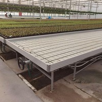 Serre de semis de haute qualité pour l'Afrique avec ventilation automatique et protection UV pour une croissance des plantes toute l'année