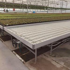 Invernadero de Alta Calidad para Plántulas en África con Ventilación Automática y Protección UV para el Crecimiento de Plantas Durante Todo el Año - Product Image 4