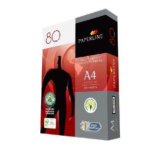 "กระดาษ Paperline มีอยู่ในคำสั่งซื้อจำนวนมากกระดาษคุณภาพสูงสำหรับโซลูชันธุรกิจและสำนักงานทั่วประเทศ" - Product Image 5