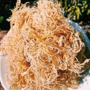 Euchema cottonii สาหร่ายผลิตภัณฑ์ที่ดีที่สุดจากเวียดนาม - Product Image 4