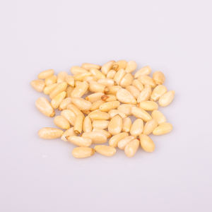 Pignons de pin naturels riches en vitamines et en nutriments, fournis pour les commandes en gros et destinés à une consommation saine et équilibrée. - Product Image 2