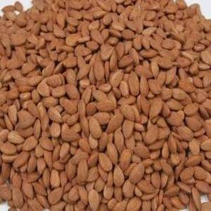 Descuentos en Almendras Crudas de Grano Grande de 500g, Calidad Premium, Almendras Dulces de Tailandia, Empaque a Granel, Precio Económico, Frutos Secos Exóticos - Product Image 2