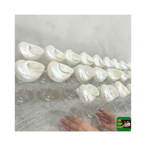 แก้วไวน์เทอร์โบเบอร์เกีสและถ้วยเปลือกหอยธรรมชาติส่งออกสำหรับตกแต่งทางทะเลและเครื่องดื่มเวียดนาม - Product Image 2