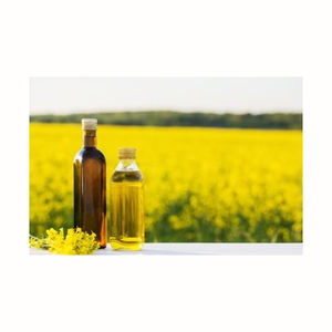 Huile de canola raffinée à bas prix/huile de colza Emballage en vrac de qualité biologique de haute qualité d'origine brésilienne - Product Image 5