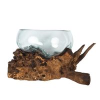 Verre fondu sur bois de Gamal, terrarium en bois flotté, bol en verre sur bois flotté