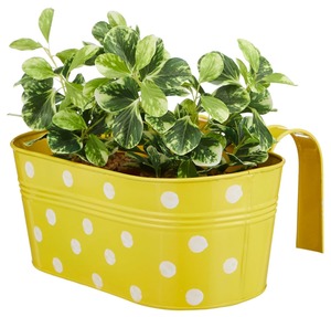 Joli pot en métal jaune avec des points blancs pour la décoration de jardin, le style de balcon et l'affichage de plantes d'intérieur vibrantes en provenance d'Inde - Product Image 1
