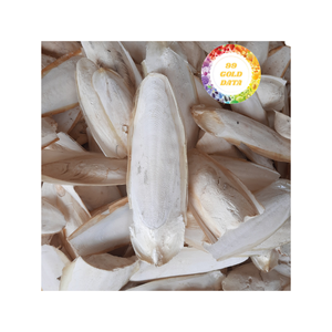 Cuttlebone procesado de primera calidad para artistas creativos, tiendas de mascotas de aves y fábricas de artesanías de regalos, disponible a granel - Product Image 6