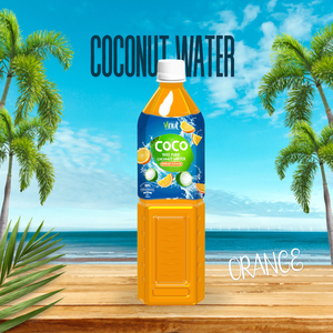Filtres à eau en fibre de noix de coco naturelle 1L avec bouteille de jus de saveur orange en vrac pur - Product Image 1