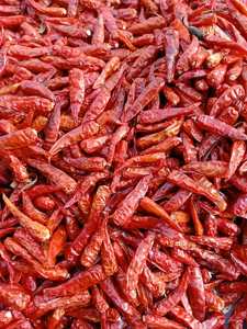 Piment rouge séché de haute qualité entier pour assaisonnement d'aliments épicés, qualité supérieure, poivre séché au soleil naturel, norme d'exportation, approvisionnement en vrac - Product Image 2