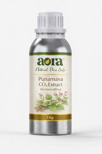 Extracto de Punarnava CO2, Extracto Vegetal Premium para una Salud Óptima (Boerhavia diffusa) - Product Image 2