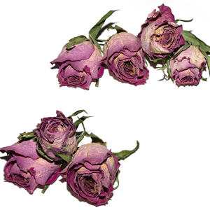 กุหลาบแดงแห้ง (ดอกไม้แห้ง) จำนวนมาก | เกรด A1 | สำหรับชาสมุนไพร & บรรจุภัณฑ์ของขวัญ - Product Image 5