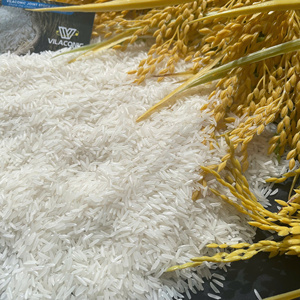 Meilleur riz vietnamien premium au monde 5% ST25 |   Approvisionnement en gros du Vietnam (Groupe VILACONIC) - Product Image 4