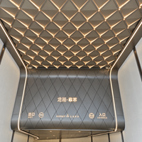 Plafond en grille métallique et plafonnier décoratif avec éclairage intégré pour les intérieurs d'hôtels et commerciaux