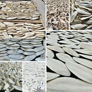 Top Bán Mực Xương Tự Nhiên Canxi Nguồn Cho Vật Nuôi Chim Rùa Thỏ Mỏ Chăm Sóc Và Crafting - Product Image 3