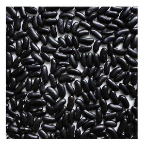 Frijoles Negros Chinos Orgánicos Pequeños, Frijoles Tortuga, Precio de Frijoles Negros Secos - Product Image 4