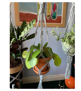 Colgadores de macramé para plantas, decoración de lujo para el hogar - Product Image 3