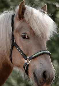 อานม้าแบบตะวันตก รุ่น 0786 ยี่ห้อ Rub International ดีไซน์สวยงาม พร้อมสายรัดหนังสำหรับม้า  อุปกรณ์ตกแต่งหรูหรา ปรับแต่งได้ - Product Image 3