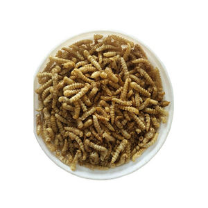 Harina de Gusano de Seda Congelada Natural de Alta Calidad al por Mayor para Ganado - Product Image 1