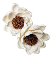 Sola Wood Flower diffuseur de roseau Parfum d'ambiance Fait à la main Sola Flower Echo Friendly Sola Flower Natural to aérer Freshen Reed