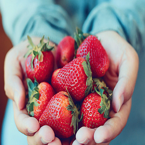 Top Grade 100% Fraises biologiques de haute qualité Meilleure vente de fruits frais de France 10kg Livraison rapide Prix peu coûteux - Product Image 5