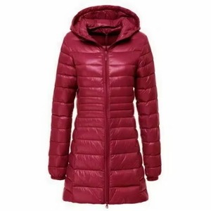 Veste longue matelassée pour femmes grande taille pour l'hiver, col montant, capuche, fermeture éclair décontractée, veste longue matelassée - Product Image 2