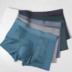 Calzoncillos bóxer antibacterianos para hombre, ropa interior fresca, transpirable, cómoda, sin costuras, con logotipo en la cintura, calzoncillos de tela tejida - Product Image 2