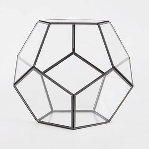 Meilleure qualité d'exportation nouveauté vase en verre enduit noir terrarium géométrique décoration de table jardin mousse taille personnalisée décorer - Product Image 1