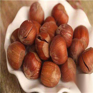 Noix de hêtre à prix avantageux d'Afrique du Sud – Fournisseur naturel et économique de noyaux de fruits secs – Noix de hêtre à vendre - Product Image 1