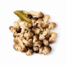 SETA PURA SALADA/COMIDA ENTERA/RECOMIENDO A LOS VEGANOS - Product Image 2