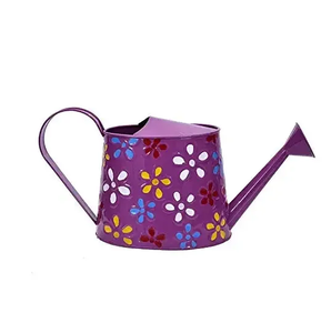 Regadera de metal de diseño moderno Regadera de forma redonda para plantas de interior y exterior Planta de metal al costo más bajo - Product Image 5