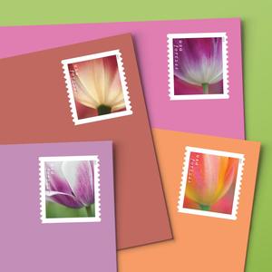 Vintage Floral Usa usado franqueo <span class=keywords><strong>sello</strong></span> pegatinas Postal Forever Stamps Post sellos recompensa pegatina para decoraciones <span class=keywords><strong>de</strong></span> boda - Product Image 5