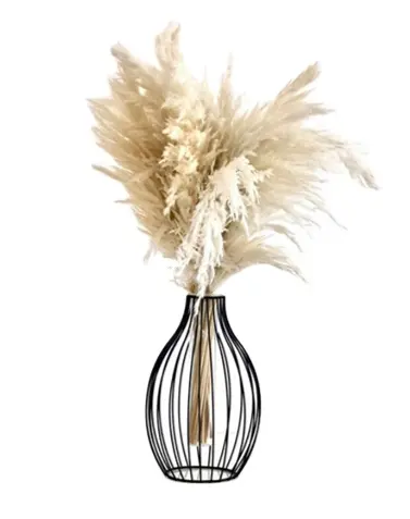 Hot Selling Two Metal Wire Glass Tube Vase-Black Indoor and Outdoor Handmade Flower Vase in Two Colours Black and Gold