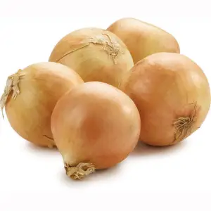 Premium quality Fresh Vegetables Red Onion Suppliers /Exporters for reasonable pricing from USA