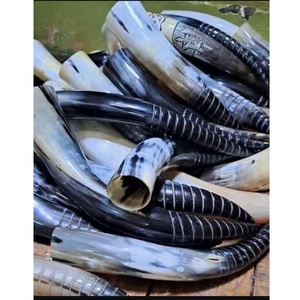 Handcrafted Eco-Friendly Viking Animal Religious Beer Horn <b>Mug</b> for <b>Halloween</b> Gifts and Decor - Product Image 1