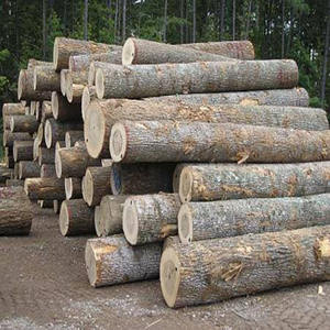 Bûches de bois de pin - Origine Philippines, spécifications standard, fabricant agro - Product Image 6