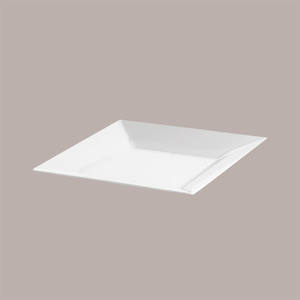 Juego de 25 Platos Reutilizables de Poliestireno PS con Borde Blanco, 27x27 cm, Estilo Minimalista - Product Image 3
