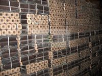 Briquettes de bois Pini Kay pour le marché européen disponibles pour l'approvisionnement